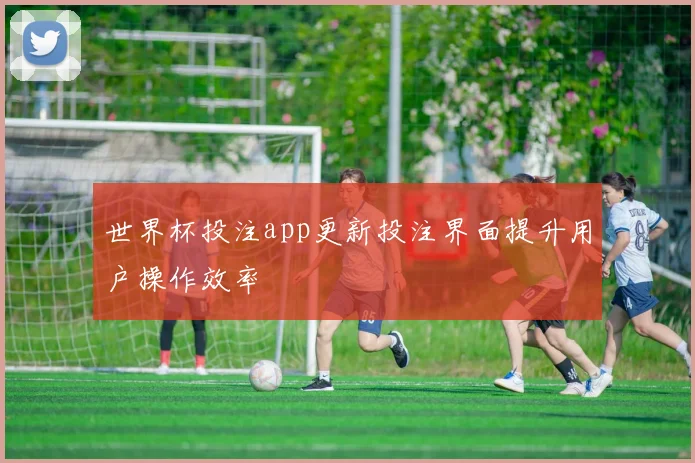 世界杯投注app更新投注界面提升用户操作效率