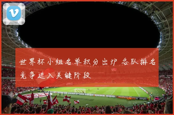 世界杯小组名单积分出炉 各队排名竞争进入关键阶段