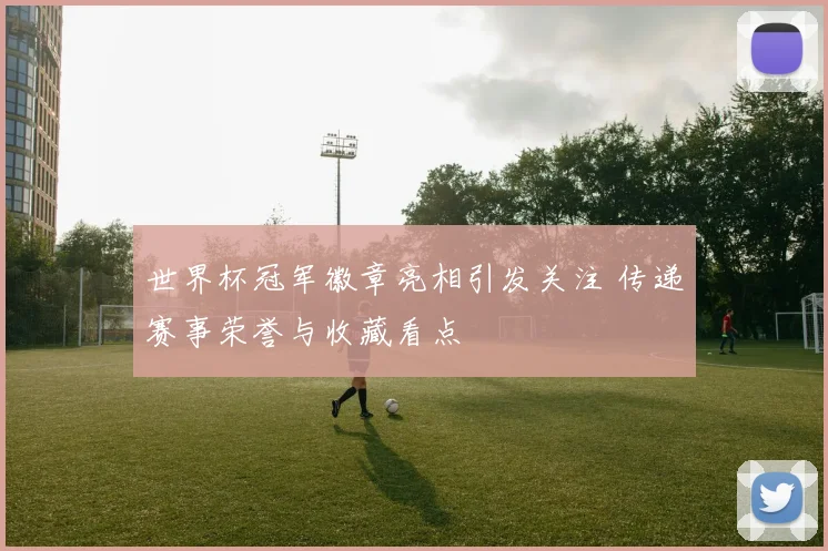 世界杯冠军徽章亮相引发关注 传递赛事荣誉与收藏看点