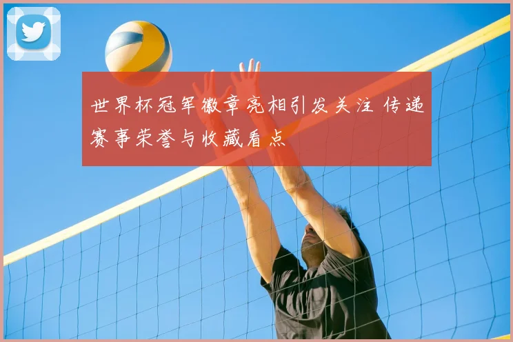 世界杯冠军徽章亮相引发关注 传递赛事荣誉与收藏看点